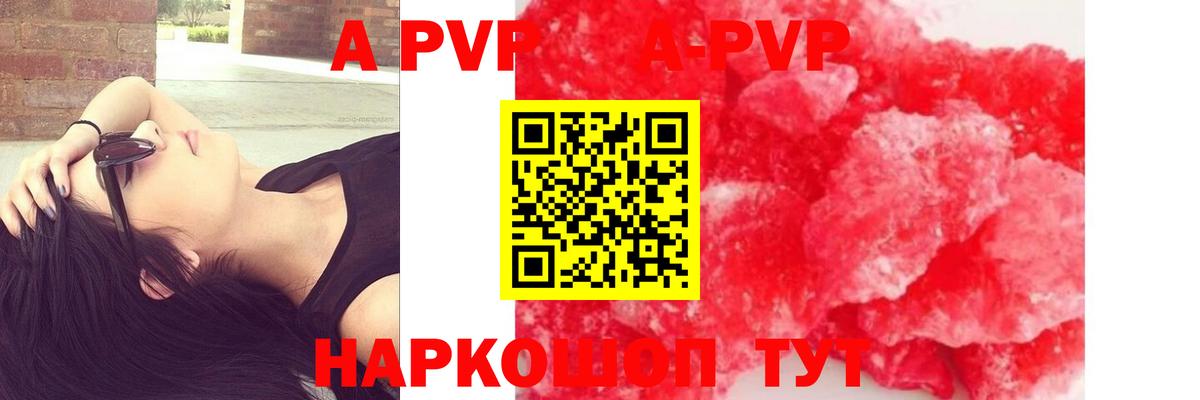 Alfa_PVP СК Канаш