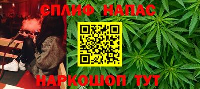 сатива Бузулук