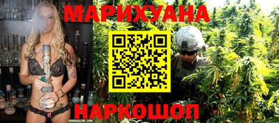 сатива Бузулук