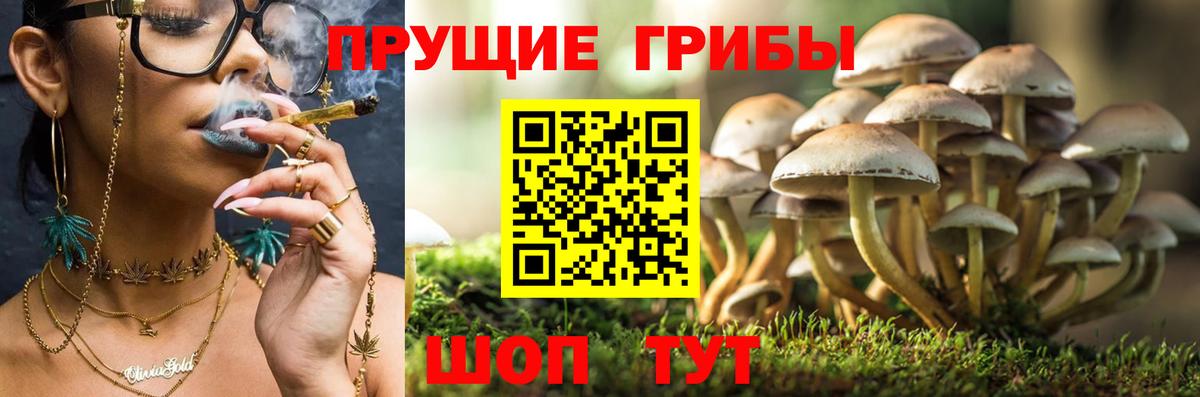 АМФ   Кокаин  Мефедрон   ГАШ  Канаш  ГАШИШ  Вход с VPN 