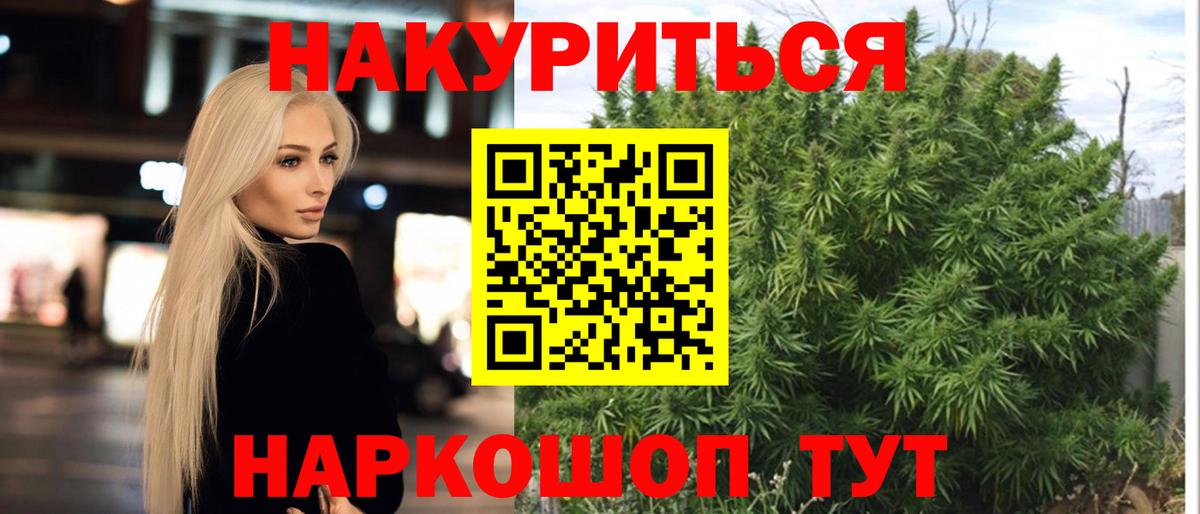 Канабис ГИДРОПОН Канаш